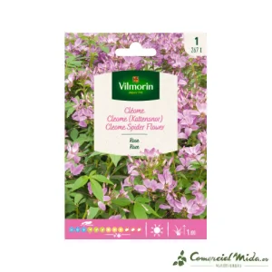 VILMORIN Semillas Cleoma Rosa