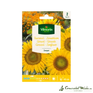 VILMORIN Semillas Girasol Enano Sunspot