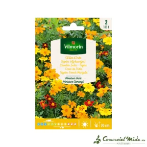 VILMORIN Semillas Clavelón India Miniatura Variado