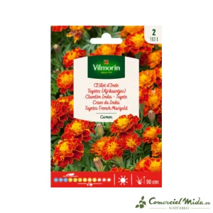 VILMORIN Semillas Clavelón India Carmen