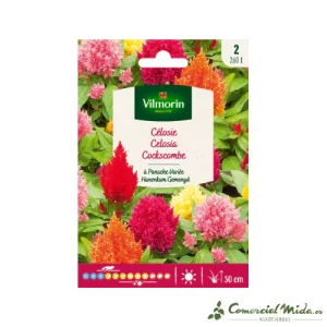 VILMORIN Semillas Celosía Plumosa Variada