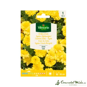 VILMORIN Semillas Clavelón India Amarillo