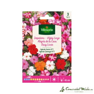 VILMORIN Semillas Alegría de la Casa Variada Hibrida Variada HF1