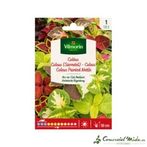 VILMORIN Semillas Coleos Arcoíris Mejorado