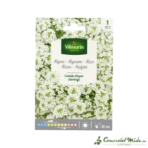 VILMORIN Semillas Aliso Blanco