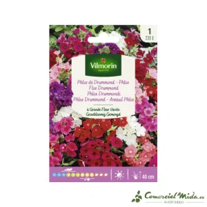 VILMORIN Semillas Flox Drummond Variada de Gran Flor