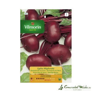 Semillas de REMOLACHA DE MESA APLASTADA EGIPTO VILMORIN 7 gr