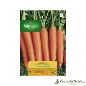 Semillas de ZANAHORIA NANTESA 3 Vilmorin 8g