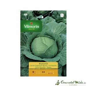 Semillas de COL REPOLLO BRUNSWICK Vilmorin 6g