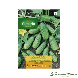 Semillas Pepinillo Piccolo 5gr VILMORIN
