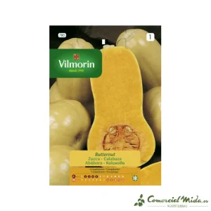 Semilla Calabaza Butternut 7gr VILMORIN