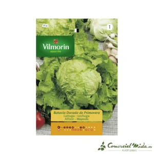 Semillas Lechuga Batavia Dorada 7gr VILMORIN