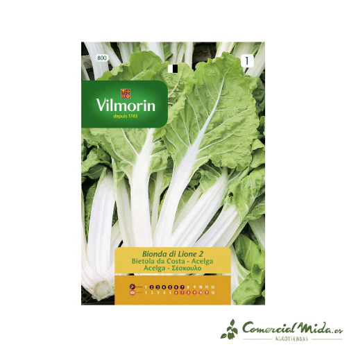 Semillas de ACELGA AMARILLA DE LYON Vilmorin 5g - Imagen 2