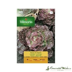 Semillas de Lechuga Rosa Trento 5gr VILMORIN