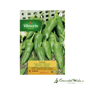 Semillas Pimientos de Padrón 3gr VILMORIN