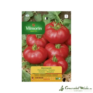 Semillas Tomate Marmande 5gr VILMORIN