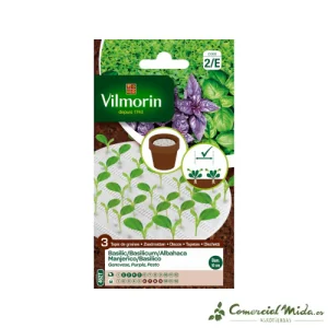 3 discos biodegradables Vilmorin semillas de ALBAHACA (cultivo fácil) 10 cm