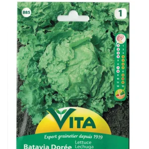 Sobre de semillas 3 g de LECHUGA BATAVIA DORADA DE PRIMAVERA