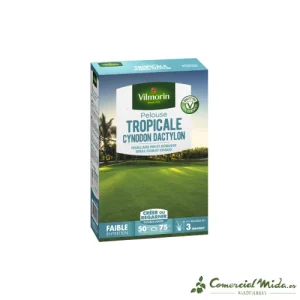VILMORIN Semillas Césped CYNODON - 500gr (Nuevo 2024)