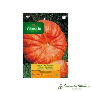 VILMORIN Semillas de CALABAZA ROJO VIVO ETAMPES 7 gr