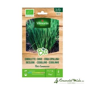 VILMORIN Semillas Cebollino Bio