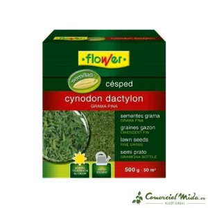 Semillas de CÉSPED CYNODON DACTYLON (Grama Fina) 500g