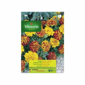 Semillas Clavelon India Bonita 1,5gr VILMORIN