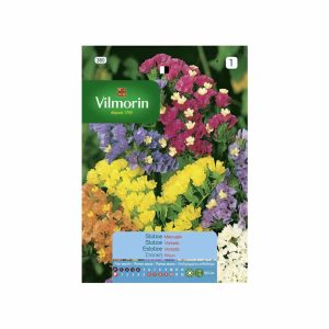 Semillas Statice Sinuata 0,5gr VILMORIN