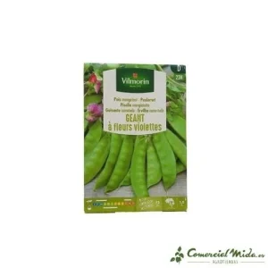 VILMORIN Semillas de Guisante Geant Cometodo con Flor Morada 125 gr