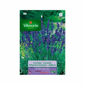 Semillas de Lavanda Aromática 2gr VILMORIN