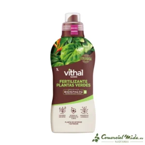 VITHAL GARDEN Biosphere + Plantas Verdes